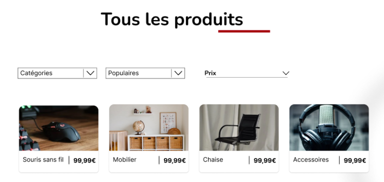 Aperçu boutique Schoolastique
