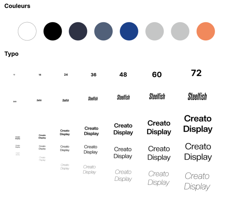 Charte graphique Chronoto